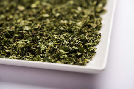 Kasuri Methi / Kasoori Methi or dried fenugreek leaves also known as Trigonella Foenum Graecumの写真素材