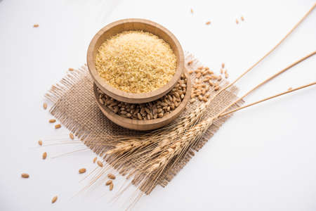 Gehu Dalia or Daliya also known as Cracked or Broken Wheat, served in a bowl or spoon, healthy Indian foodの写真素材