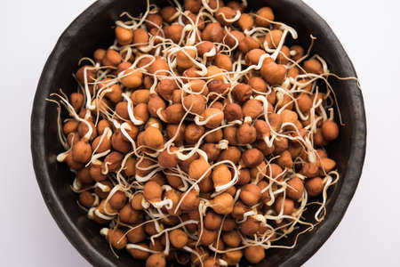 Sprouted Kala Chana or Black or brown Chickpeas - it's a vegan substitute for rich protein and it...