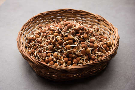 Sprouted Kala Chana or Black or brown Chickpeas - it's a vegan substitute for rich protein and it...