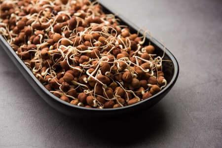 Sprouted Kala Chana or Black or brown Chickpeas - it's a vegan substitute for rich protein and it...