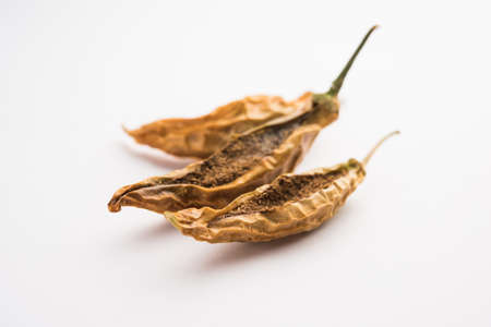 Indian Dried Stuffed Green Chillies or Sandgi Mirchi, Maharashtrian side dishの写真素材