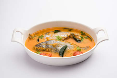 Spicy Fish Curry - kerala, konkan, bengal, goa style in Red and brown colour, served with riceの写真素材