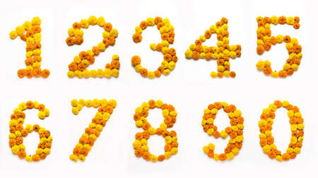 English number, digit or alphabate made with marigold or zendu from flowersの写真素材