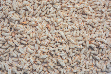 Popped Rice or Nel Pori also known as Puffed Lahi or Karthigai Poriの写真素材