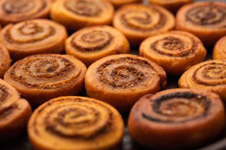 Indian Traditional tasty Snack Bhakarwadi Also Known as Bakarwadi, Bakarvadi, BhakarVadi or Bakar Wadi. Served in a plate or bowl. selective focusの写真素材