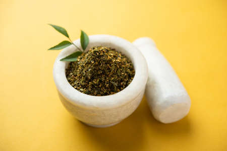 Curry leaves powder or Karivepaku or karuveppilai podiの写真素材
