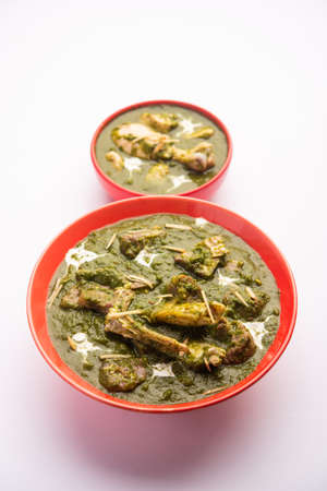Palak mutton and chicken curryの写真素材