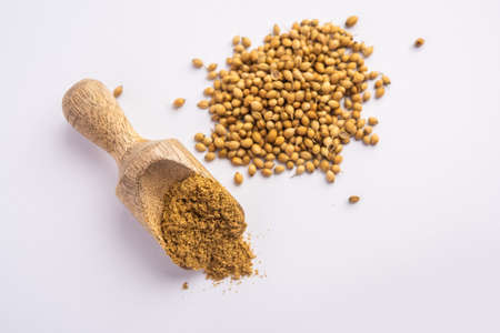 Indian spice Heap of Coriander powder or Dhaniya Powder or Chinese parsley dried seeds, selective focusの写真素材