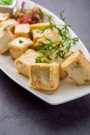 makhmali or Malai Paneer Tikka Kabab is a north indian starter food served with green salad and chutneyの写真素材