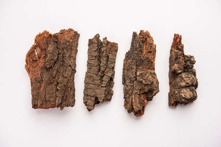 Babul Chaal (Acacia Bark) also known as Vachellia,Nilotica bark,Kikar Ki Chaal,Gum Arabic Tree Barkの写真素材