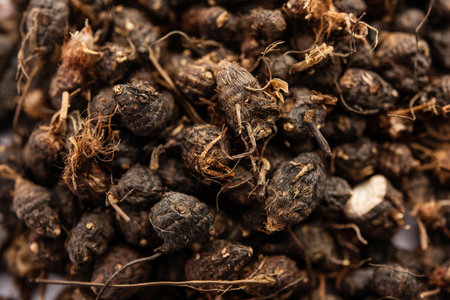 Ayurvedic Nagarmotha - Cyperus Scariosus or Cypriol in a bowl or heapの写真素材