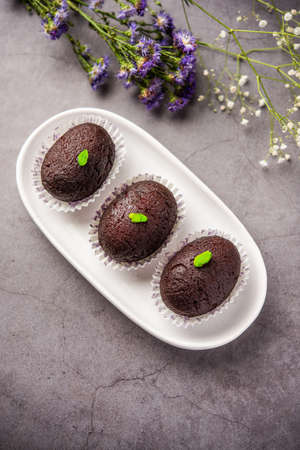 Indian Sweet Food Sweet Black Gulab Jamun Also Known as Kala Jamun, Black Jamun or Dry Kala Jam