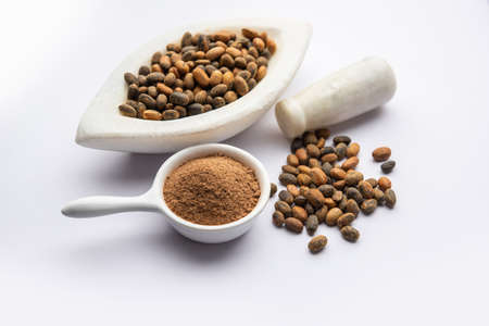 Jamalgota or Jayapala - Croton tiglium seed is an Ayurvedic medicine also known as purging croton