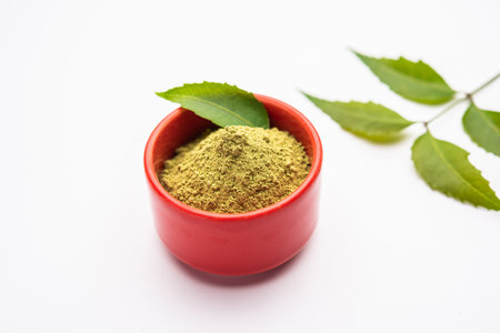 Neem Powder, paste and juice. Azadirachta indica or commonly known as nimtree or Indian lilacの写真素材