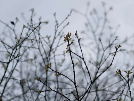 Fresh Shootsの写真素材