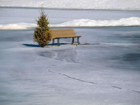 Spring is Comingの写真素材