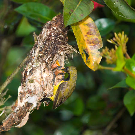 Fatherhoodの写真素材