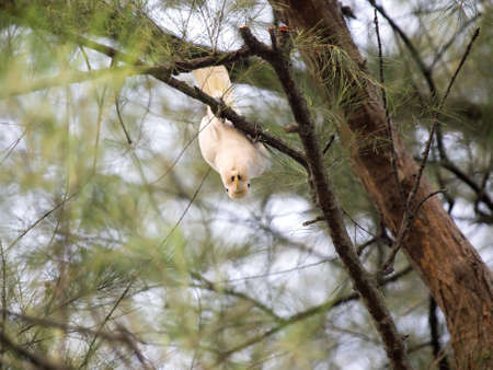 Looking at Photographerの写真素材
