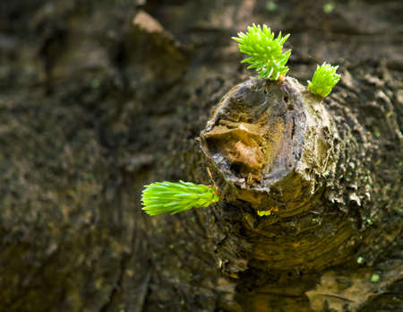 Resilience