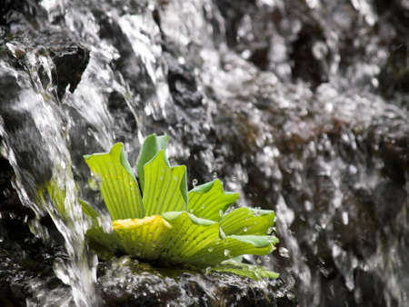 Rock Fallsの写真素材