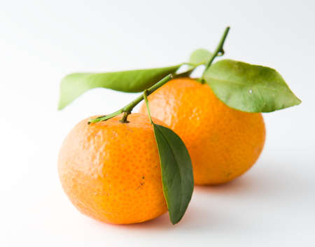 Two Tangerines with Leavesの写真素材