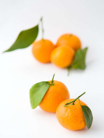 Tangerinesの写真素材