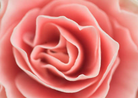 Flower Abstractの写真素材