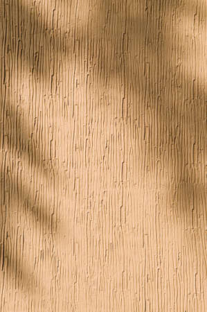 Dappled Textureの写真素材