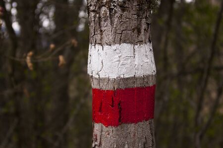 Road Marksの写真素材