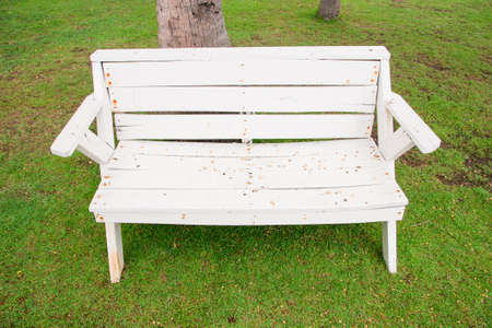 White bench in the gardenの写真素材
