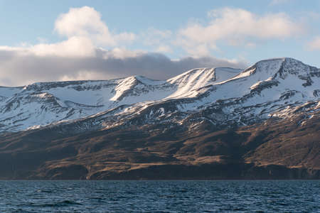 Snowcapped mountain