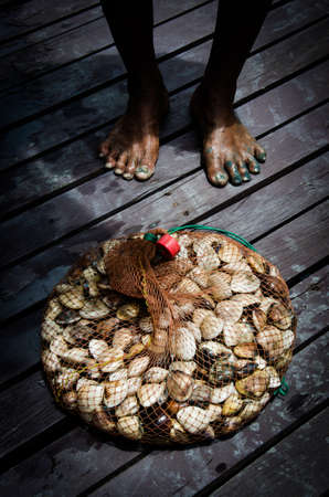 Leam Phak Bia, Ban Leam, Phetchaburi, Thailandの写真素材