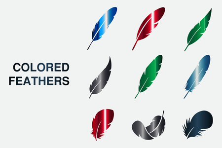 Feathers icons set. Vector illustration of a set of feathers.のイラスト素材