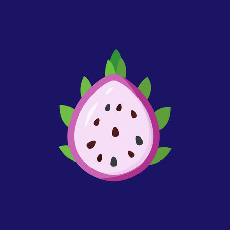 Pitaya fruit icon, vector illustration. Flat design style.のイラスト素材