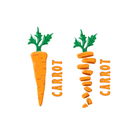 Logo Icon Design Carrot Farmのイラスト素材