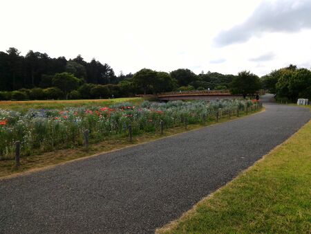 Jogging Sport Exercise Park way side Lakeの写真素材
