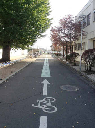 Empty roadの写真素材