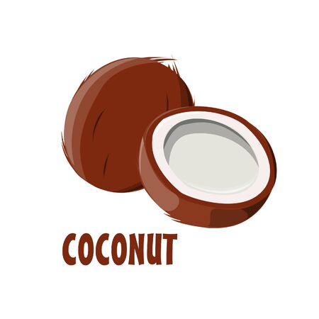 Logo Coconut vector farm designのイラスト素材