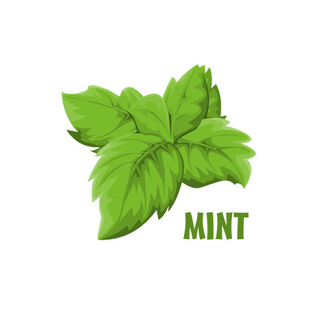 Mint vector farm designのイラスト素材
