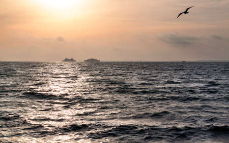Two ships in the sea are sealing in sunrise.Bird fly under the seaの写真素材