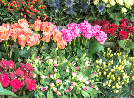 Selections of Fresh Flowers on Displayの写真素材