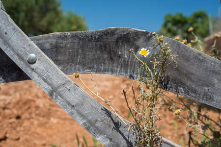 Locked Wooden Gate with Field in Backgroundの写真素材