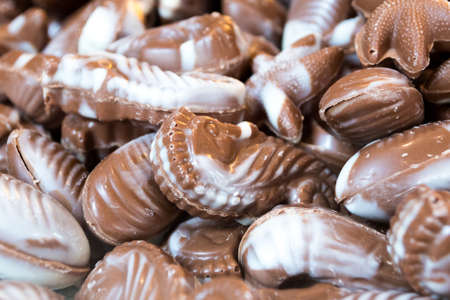 Assortment of Chocolate Paline Sea Creaturesの写真素材
