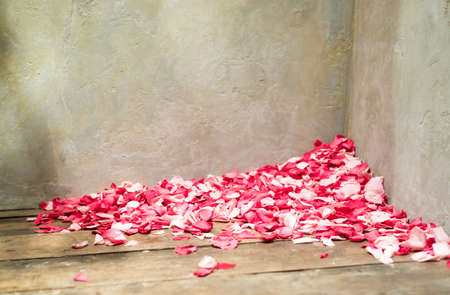 Beautiful Pile of Rose Petals in Corner of Textured Roomの写真素材