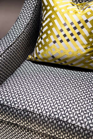 Beautifully Elegant Chair with Stylish Patterned Cushionの写真素材