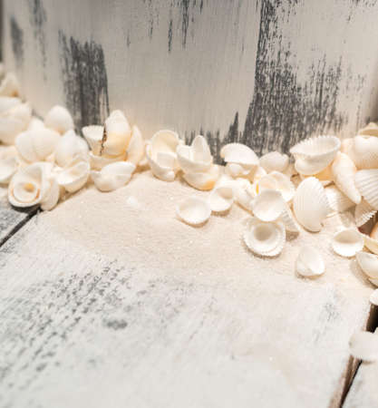 Collection of Sand and Sea Shells on Wooden Painted Weathered Deckingの写真素材