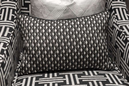 Modern and Contemporary Pattern Design Soft Comfortable Chair and Cushions