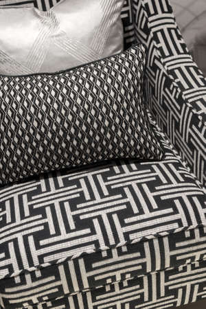 Modern and Contemporary Pattern Design Soft Comfortable Chair and Cushions