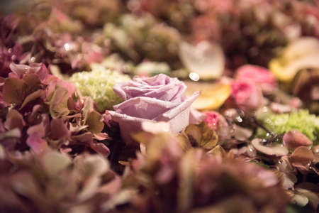 Assorted summer flowers in a full frame background with hydrangeas and roses viewed close up from...